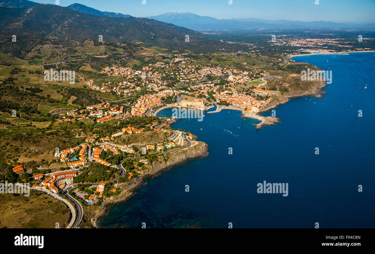 Vue aérienne, Fort Royal, Château Royal de Collioure, Port de Collioure, la côte méditerranéenne, de la Méditerranée, Collioure, France, Banque D'Images