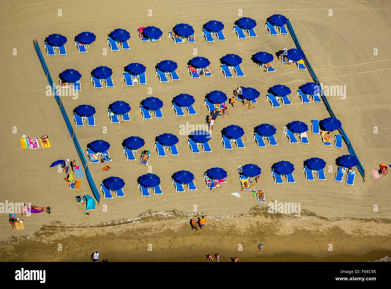 Vu par antenne, parasols de plage bleu bleu avec des chaises de plage, chaises de plage sur la plage méditerranéenne de l'aéronef, Banque D'Images