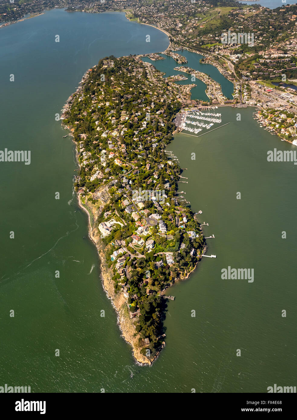 Vue aérienne, Peninsula Belvedere Tiburon, Baie de San Francisco, États-Unis d'Amérique, Californie, USA US, par antenne, Banque D'Images