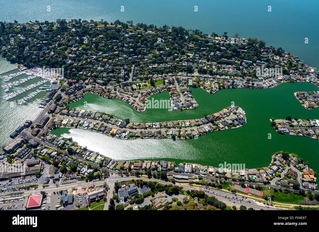 Vue aérienne, des maisons au bord de l'eau, presqu'île Belvedere Tiburon, Baie de San Francisco, États-Unis d'Amérique, Californie Banque D'Images