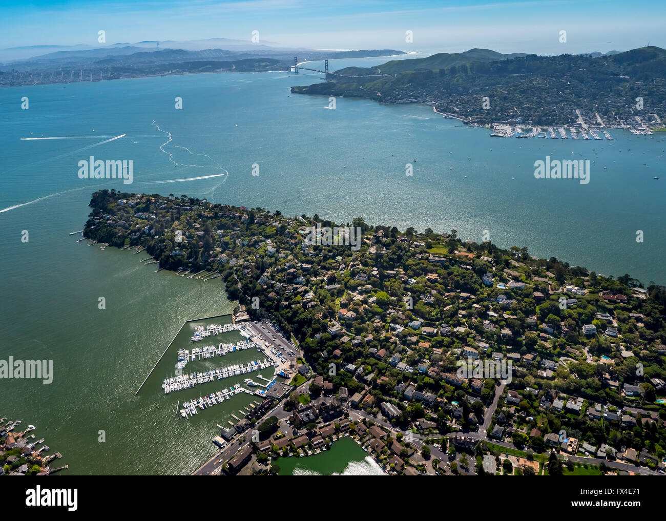 Vue aérienne, Peninsula Belvedere Tiburon, Baie de San Francisco, États-Unis d'Amérique, Californie, USA US, par antenne, Banque D'Images