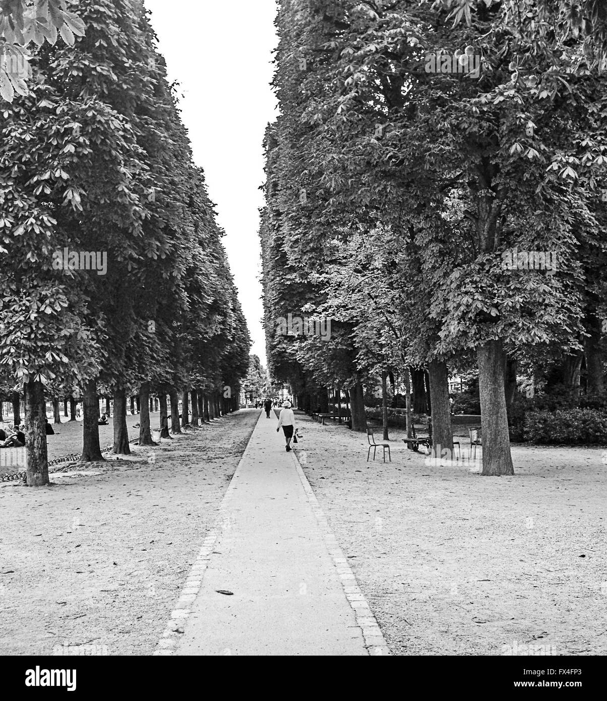 Vieille dame dans un parc à Paris Banque D'Images