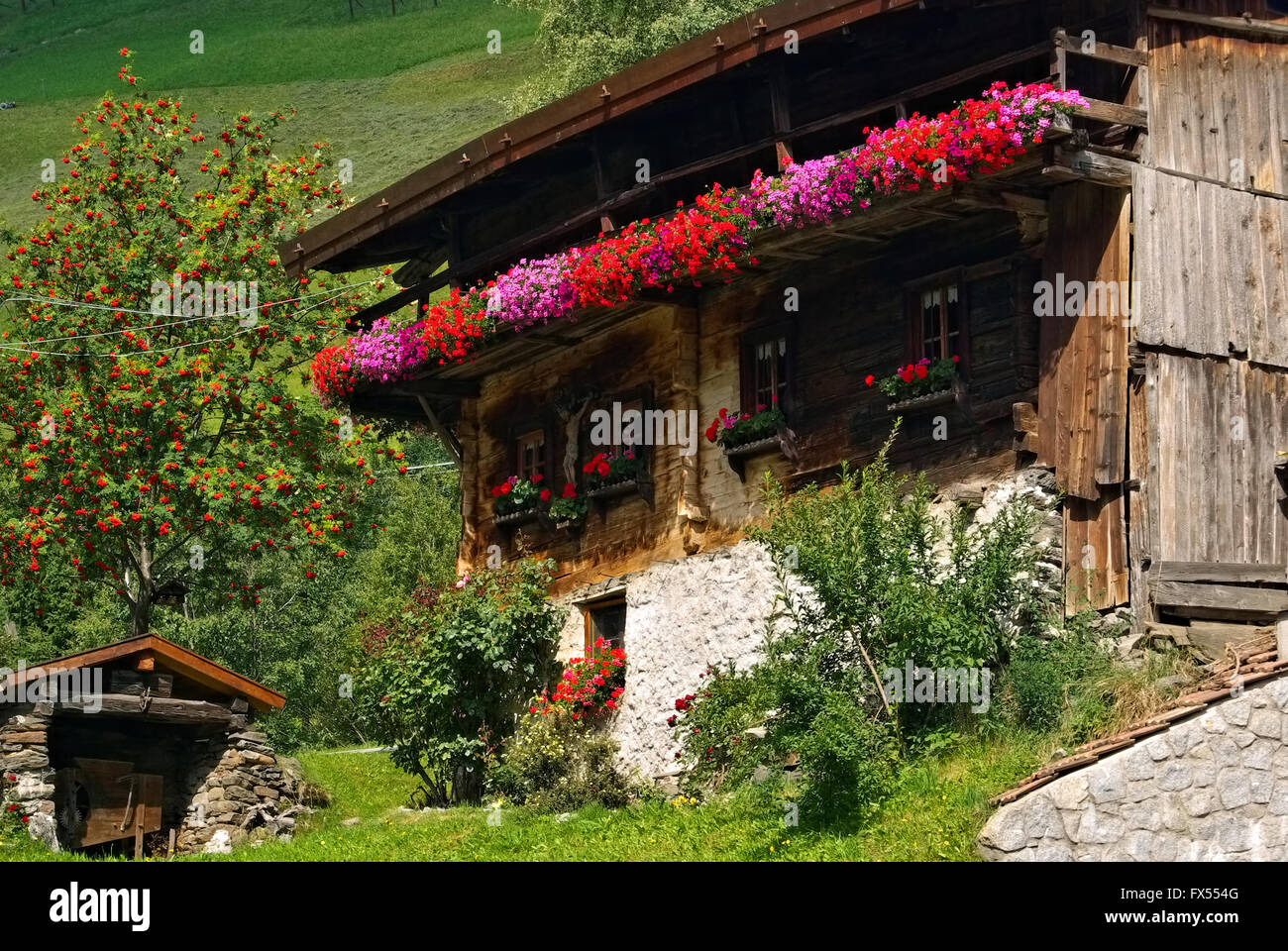 Haus Mit Blumen Banque d'image et photos - Alamy