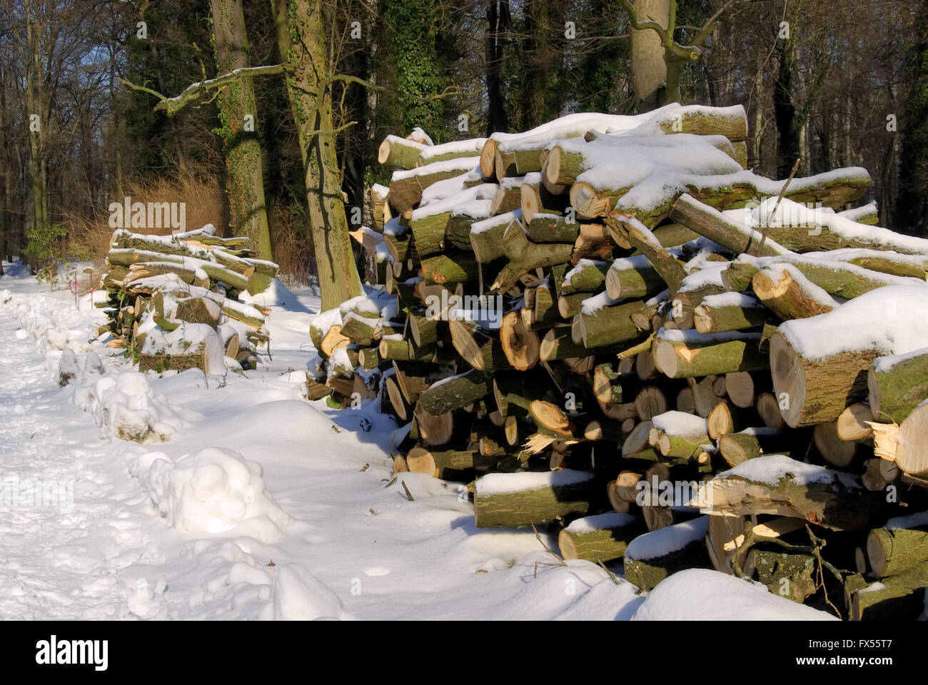 Holzstapel im Winter - pile de bois en hiver 06 Banque D'Images