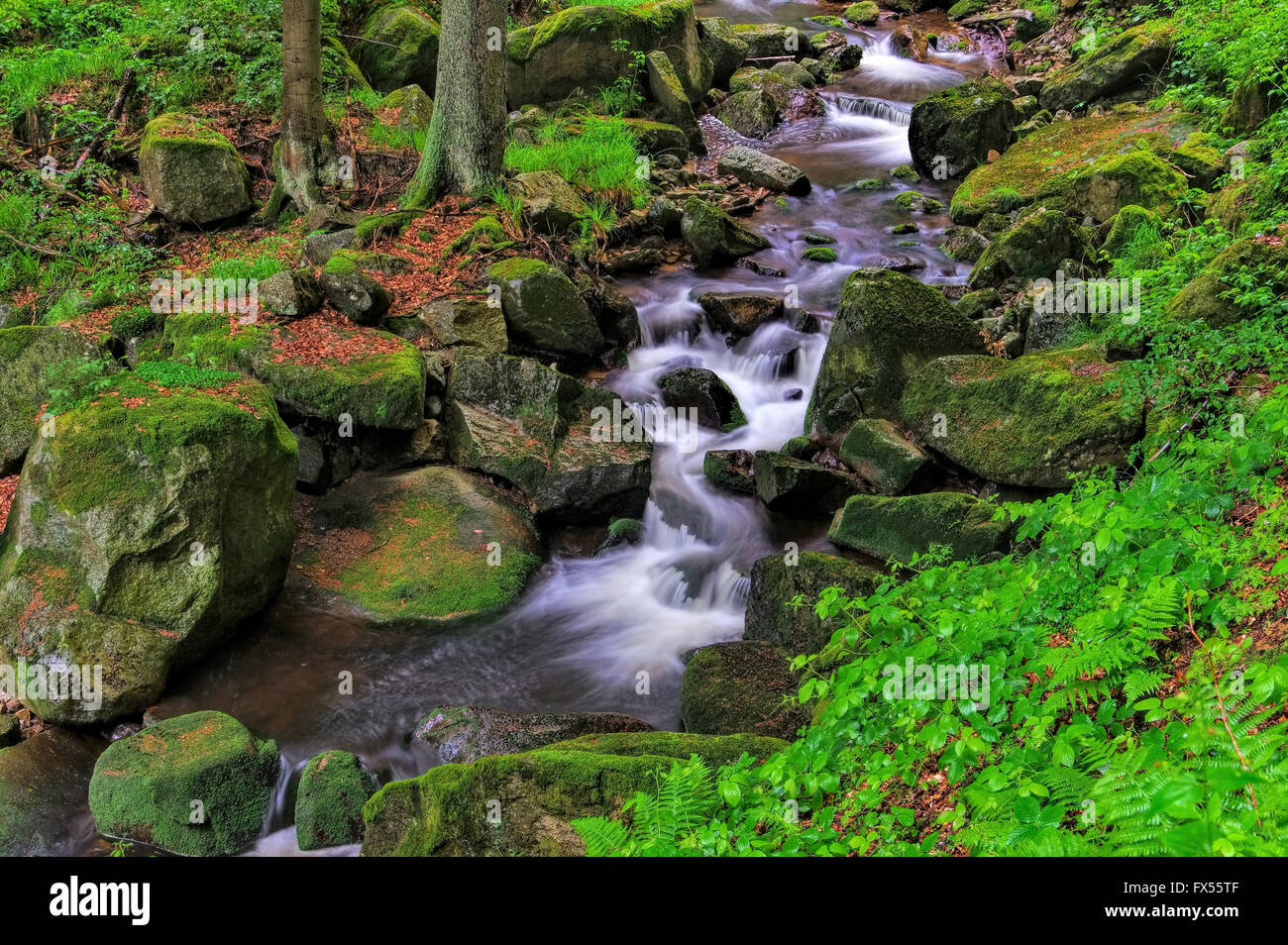 Ilsewasserfall im Harz - Waterfall river Ilse dans Harz Banque D'Images