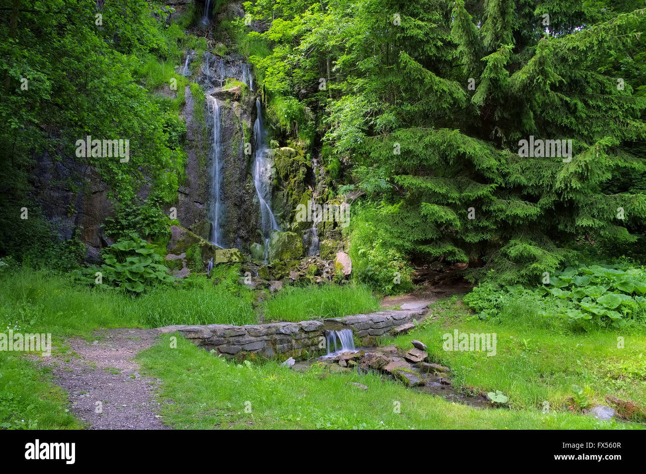 Koenigshuetter Koenigshuetter Wasserfall im Harz - Cascade dans les montagnes du Harz Banque D'Images
