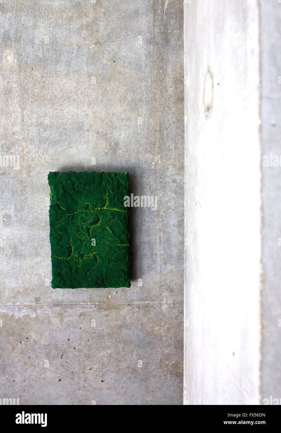 Détail de l'intérieur de Bosco art Sodi contre le mur de béton. Casa Wabi, Puerto Escondido, au Mexique. Architecte : Tadao Ando, 2015. Banque D'Images
