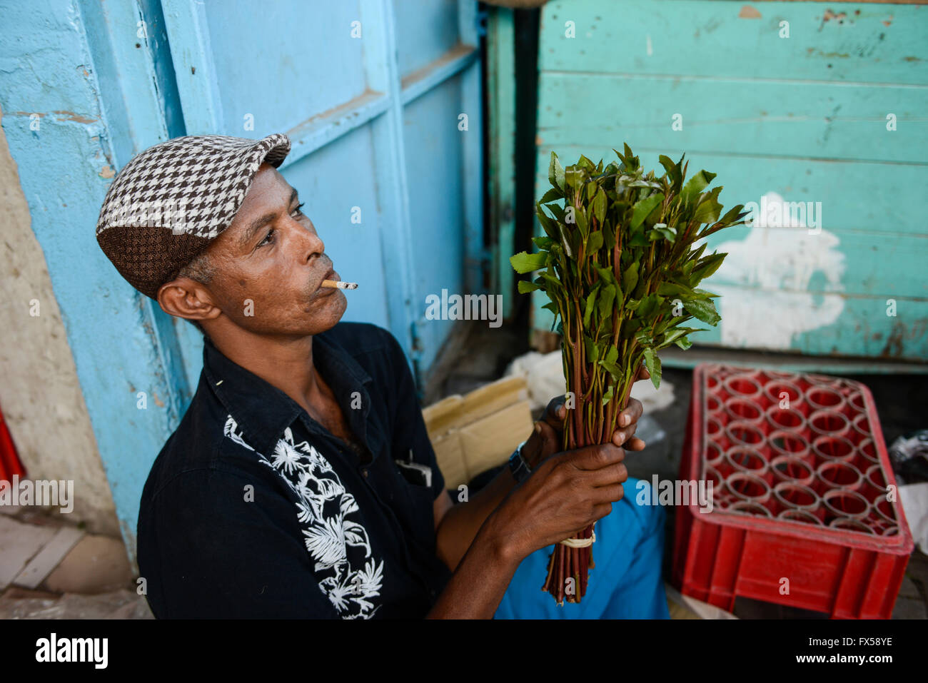 DJIBOUTI, vieille ville, vente de drogues la mastication du khat / DSCHIBUTI, Altstadt, Verwaltung der Droge le khat, das der Kauen Blaetter des Kathstrauch Rauschzustand erzeugt einen, dans der Djibouti ist der Verwaltung staatlich geregelt, die Blaetter kommen aus Aethiopien Banque D'Images