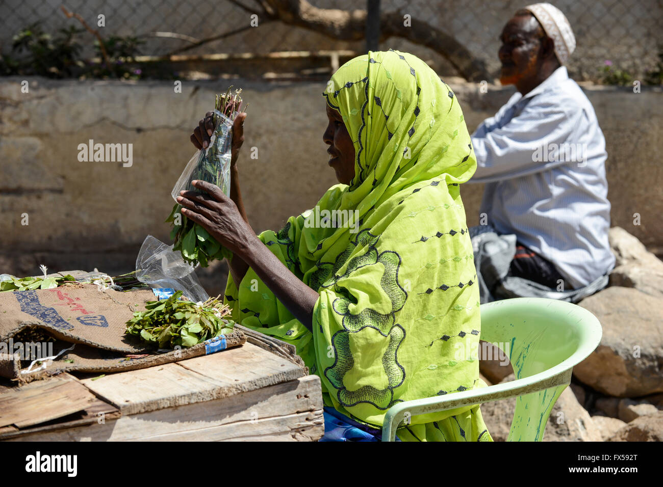 DJIBOUTI, Arta, les femmes vendent des feuilles de khat, qui est un médicament à mâcher / DSCHIBUTI, Arta, Verwaltung der Droge le khat, das der Kauen Blaetter des Kathstrauch Rauschzustand erzeugt einen à Djibouti, ist der Verwaltung staatlich geregelt, die Blaetter kommen aus Aethiopien Banque D'Images