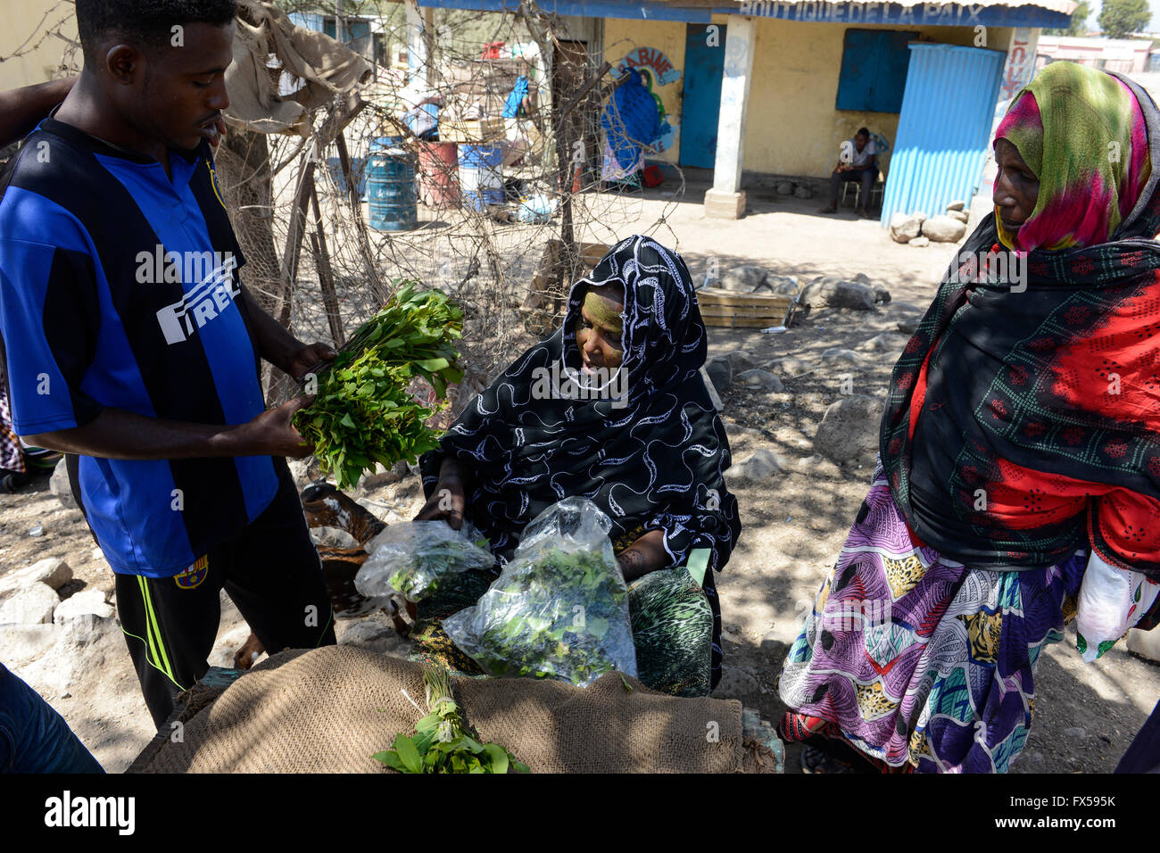 DJIBOUTI, Arta, les femmes vendent des feuilles de khat, qui est un médicament à mâcher / DSCHIBUTI, Arta, Verwaltung der Droge le khat, das der Kauen Blaetter des Kathstrauch Rauschzustand erzeugt einen à Djibouti, ist der Verwaltung staatlich geregelt, die Blaetter kommen aus Aethiopien Banque D'Images