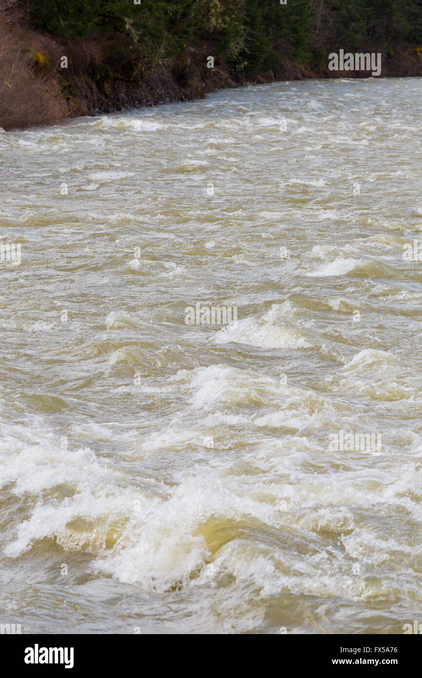 L'eau haute rivière rapide sur la Willamette en Oregon. Banque D'Images