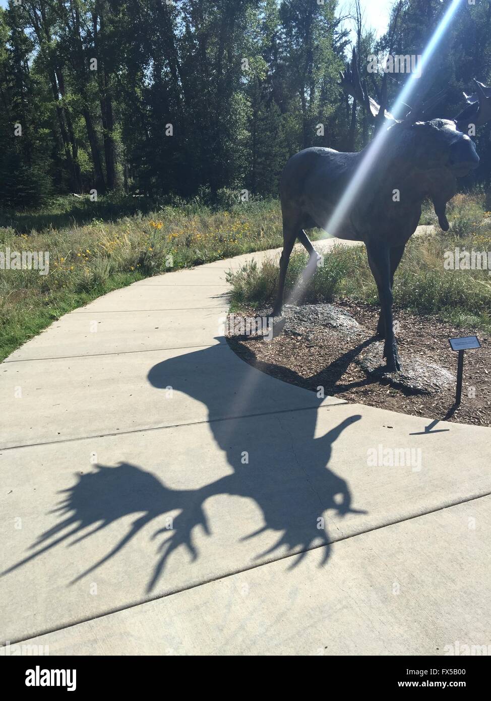 Grand Teton National Park, Statue de la souris avec beat de lumière et d'ombre projetée. Banque D'Images