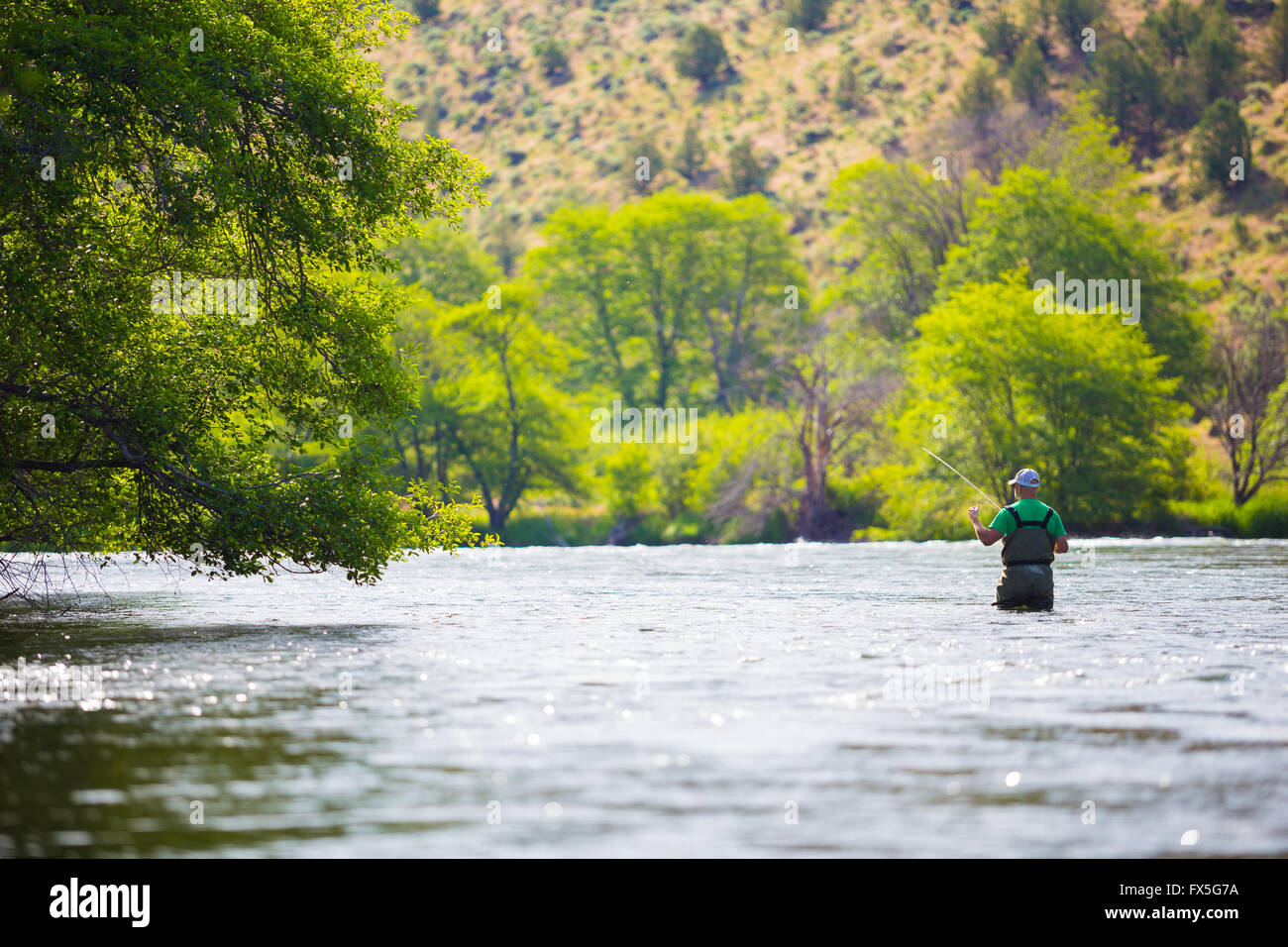 L'expérience de pêche pêche à la mouche la rivière Deschutes dans l'Oregon, le casting pour les poissons tout en se tenant dans l'eau. Banque D'Images