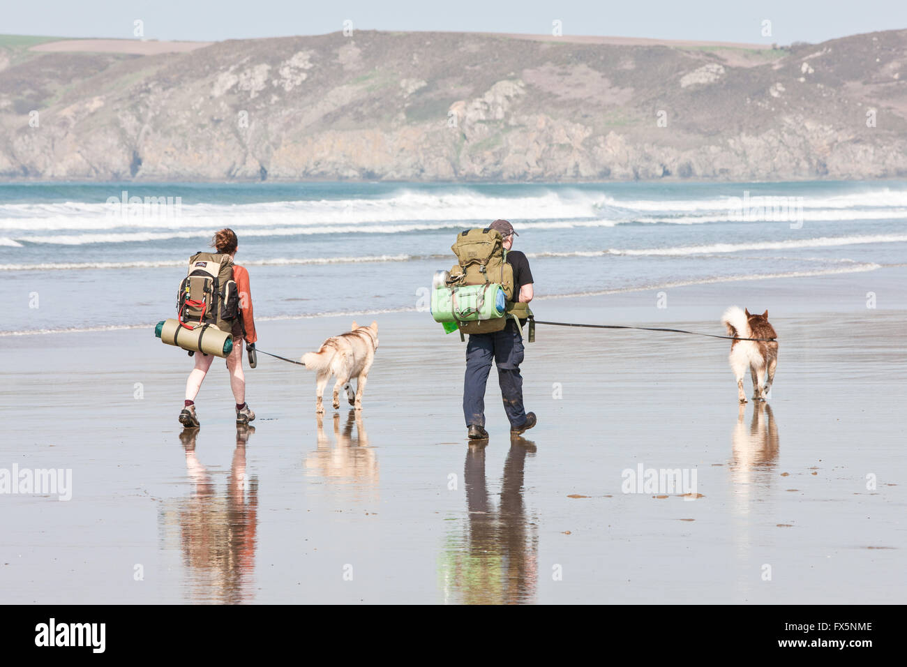 Les randonneurs avec chien,chiens sur, les longs délais, conduit, quartier calme hors-saison Newgale Plage le long chemin de Pembrokeshire Coast près de St David's. Le Pays de Galles dispose maintenant d'une pa Banque D'Images