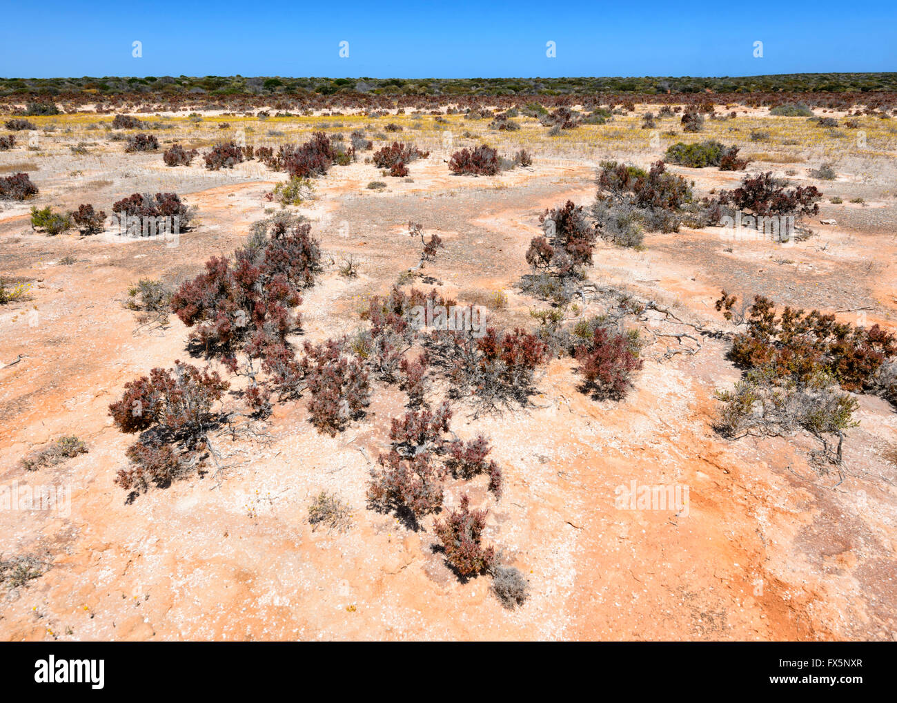Terres arides arides de la côte nord-ouest de l'Australie Occidentale, WA, Australie Banque D'Images