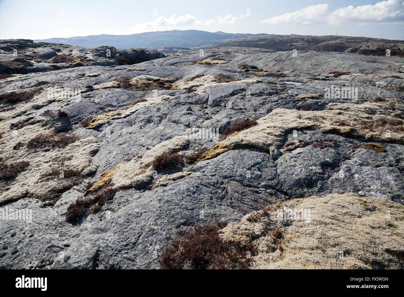 Paysage de montagne norvégienne, gris foncé pierres plates et moss under blue sky Banque D'Images