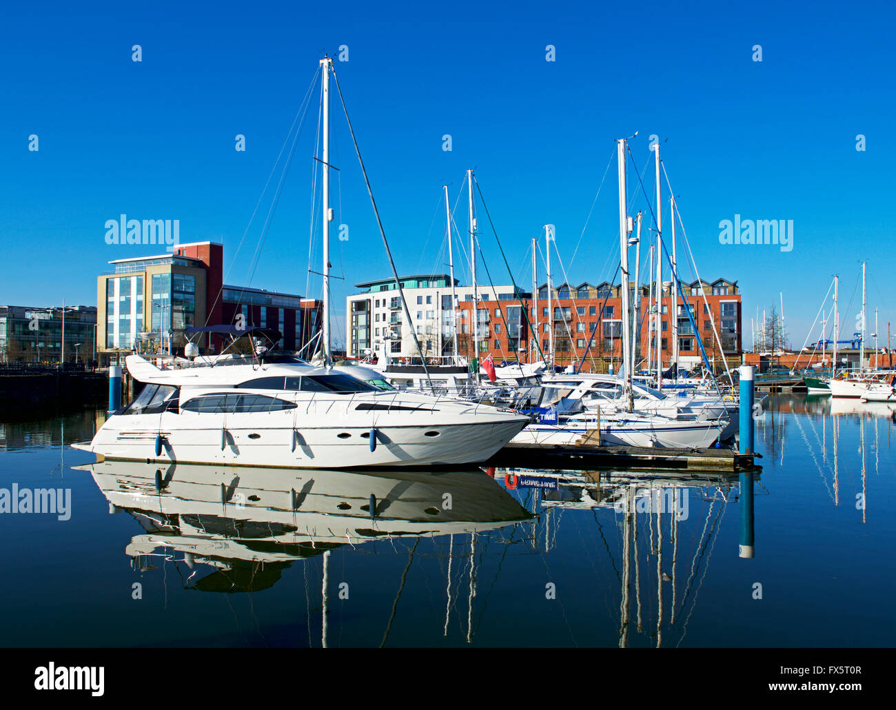 La marina, Kingston Upon Hull, Humberside, East Yorkshire, England UK Banque D'Images