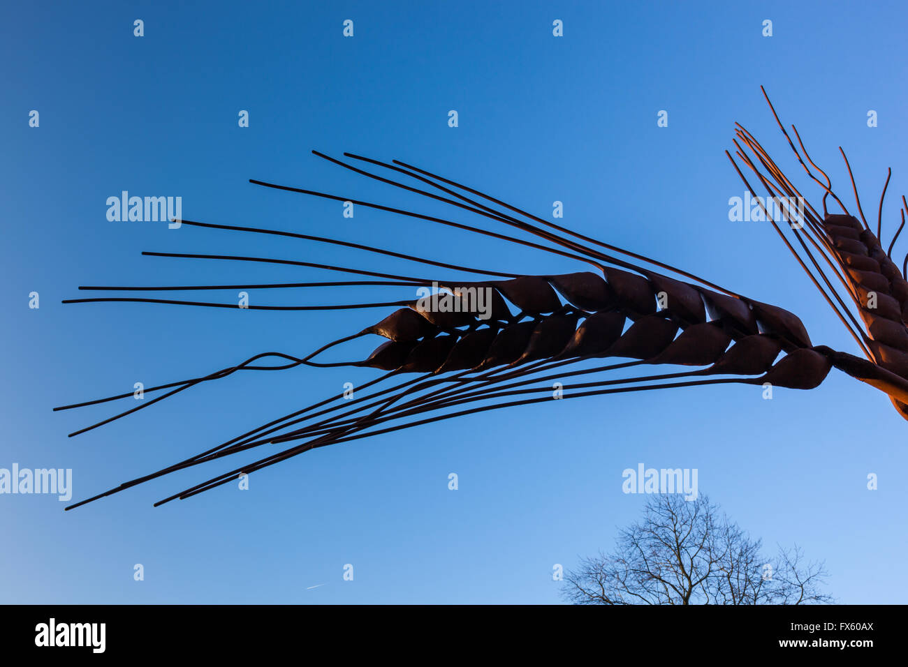Sculpture d'orge lors de la Royal Agricultural University, Cirencester, Gloucestershire Banque D'Images