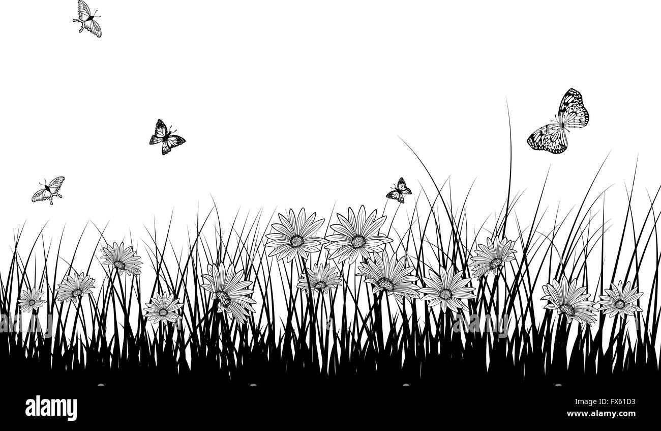 Printemps prairie avec les papillons. Vector illustration. Illustration de Vecteur