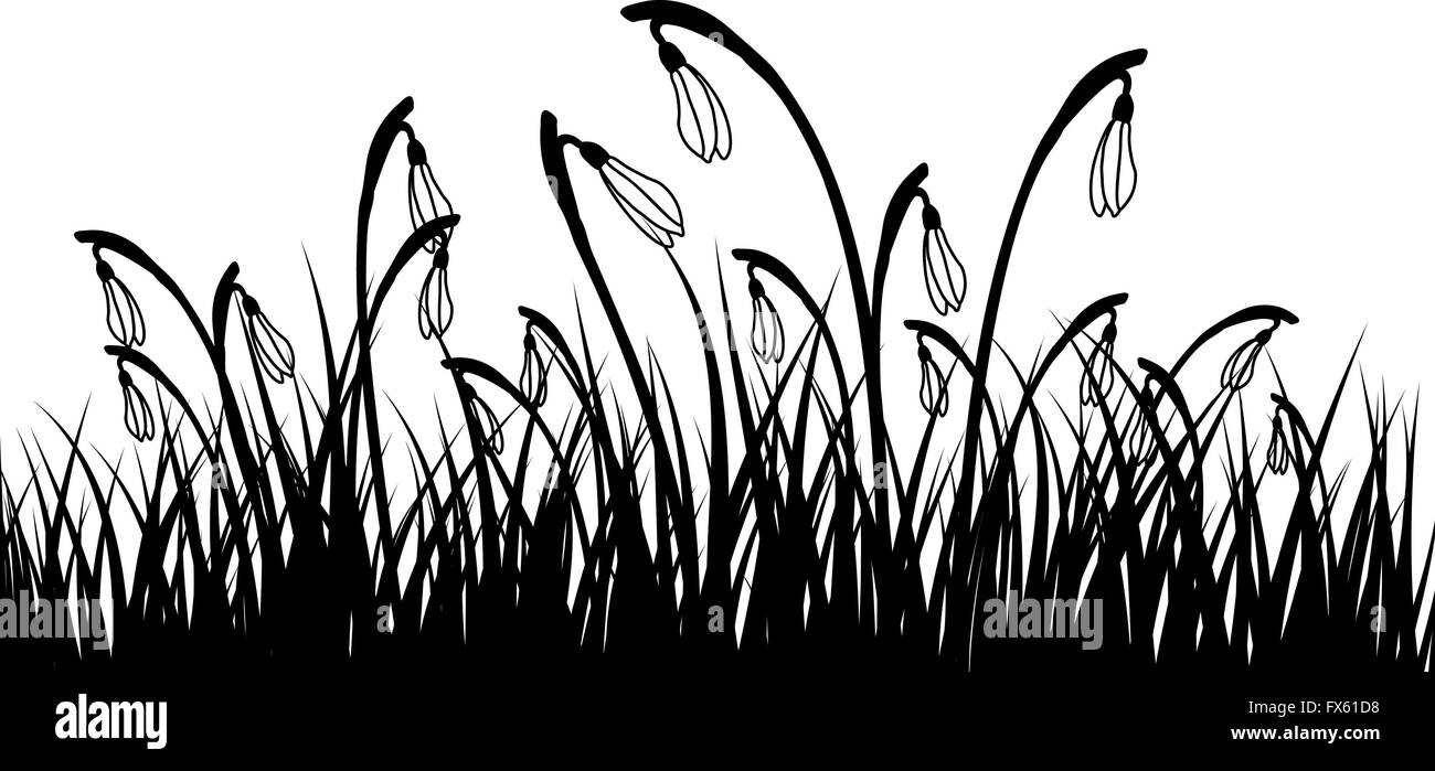 Printemps prairie avec ciel bleu. Vector illustration. Illustration de Vecteur