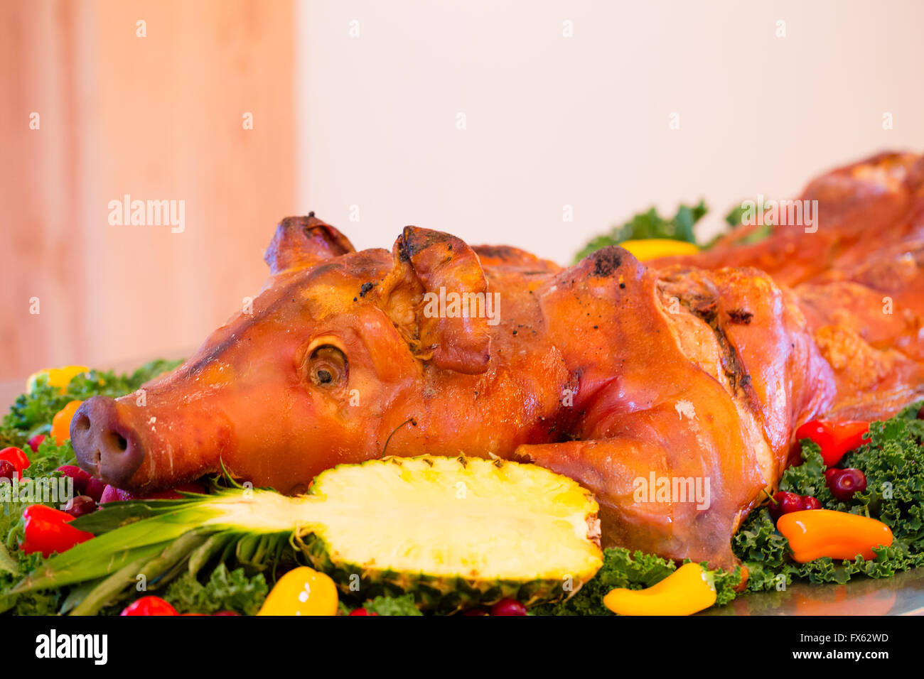 Cochon de porc Banque de photographies et d’images à haute résolution Alamy
