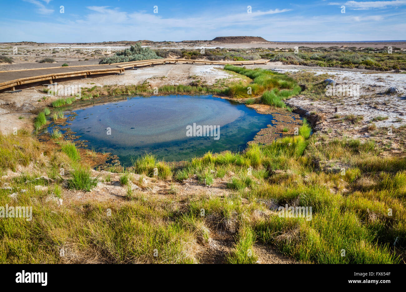 De l'eau Le Grand bassin artésien vient à la surface à 'Bubbler' dans Wabma Kardabu ressort montage ressorts Montage par Conservation Banque D'Images