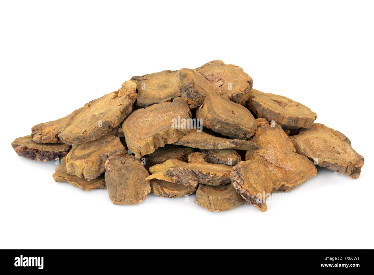 Chinese rhubarb Utilisé en phytothérapie sur fond blanc. Da huang. Banque D'Images