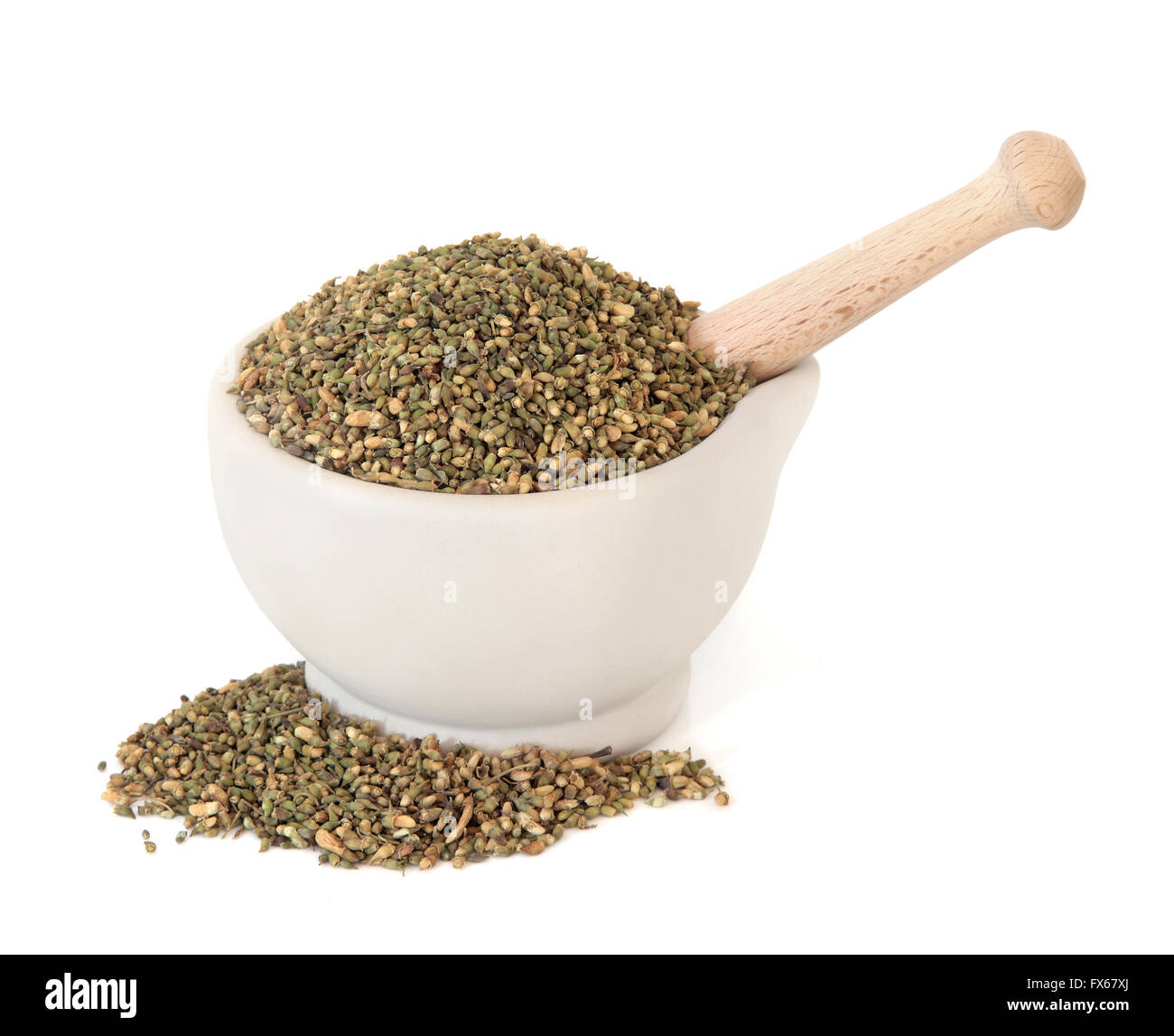 Pagoda Tree bud herbe utilisée dans la médecine de fines herbes chinoise dans un mortier avec un pilon en pierre sur fond blanc. Huai hua mi. Banque D'Images