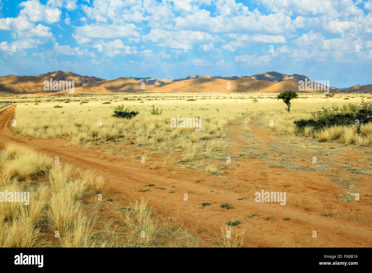 Route de sable du désert Banque D'Images
