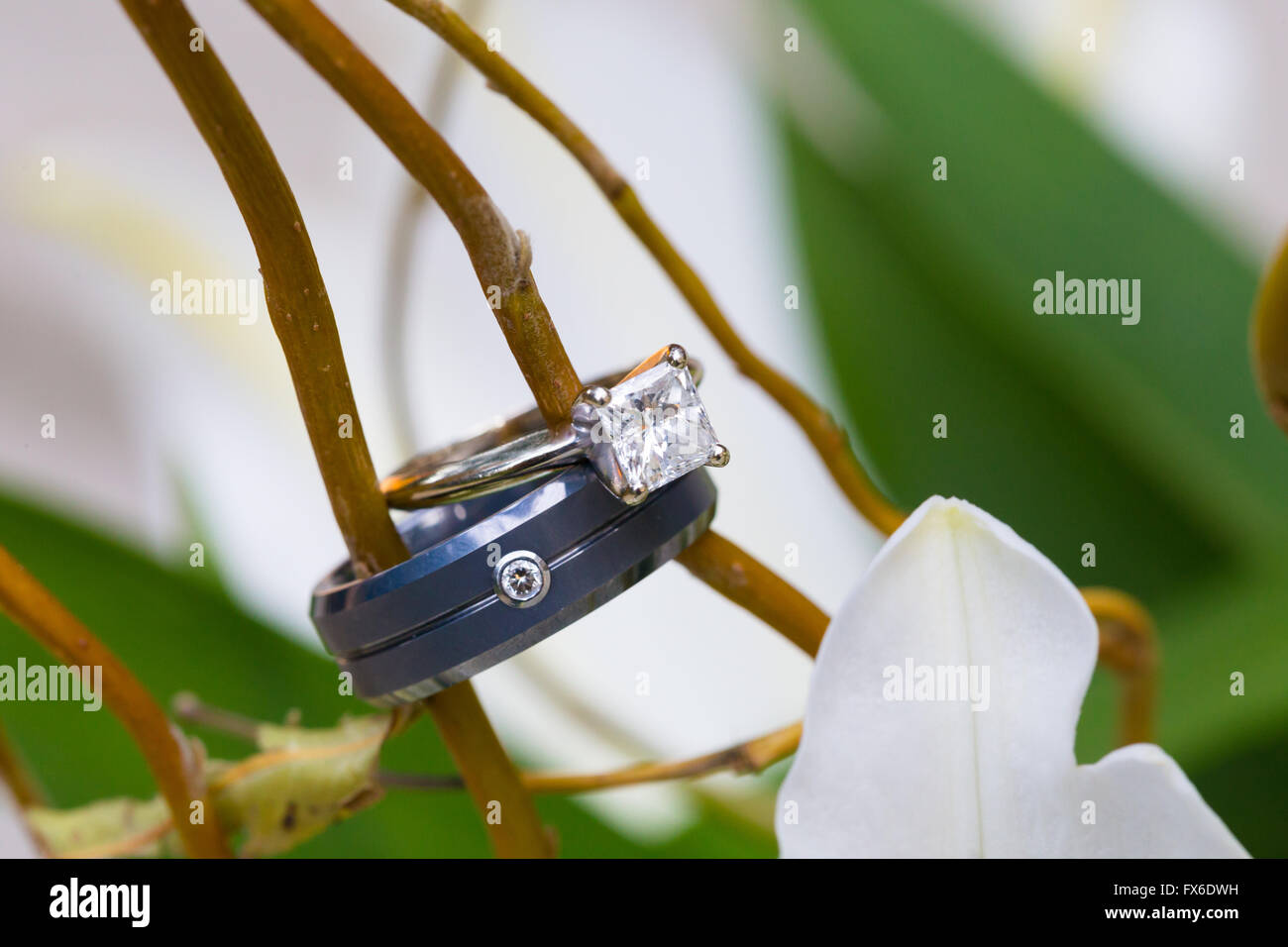 Les anneaux de mariage des mariés photographié avec une lentille gros plan lors d'une réception. Banque D'Images