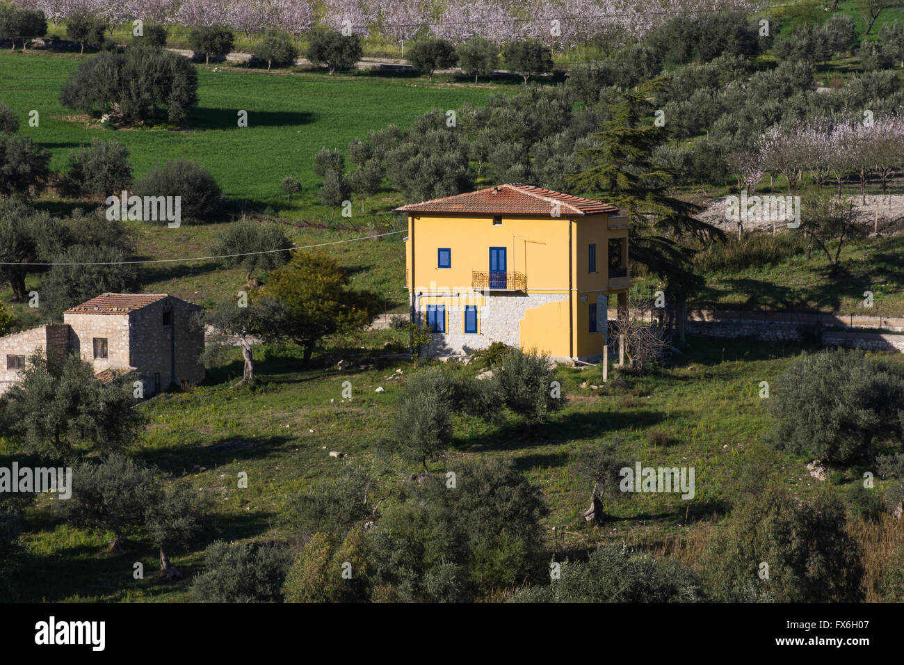 Sicilienne, avec maison ancienne et moderne, d'oliviers et d'amandiers en fleur. Banque D'Images