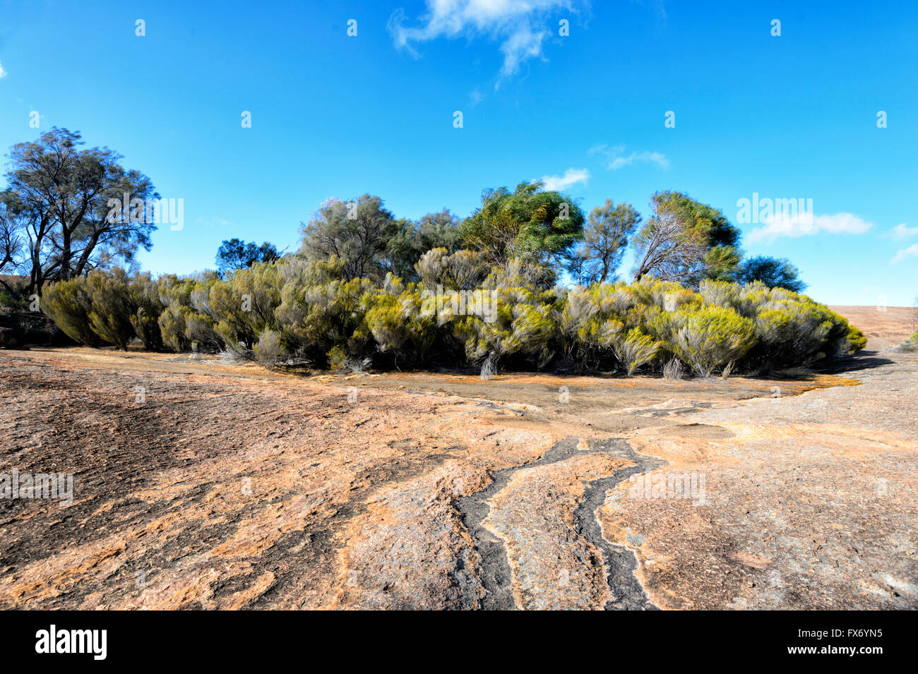 Haut de Wave Rock, près de Hyden, Western Australia, Australia Banque D'Images