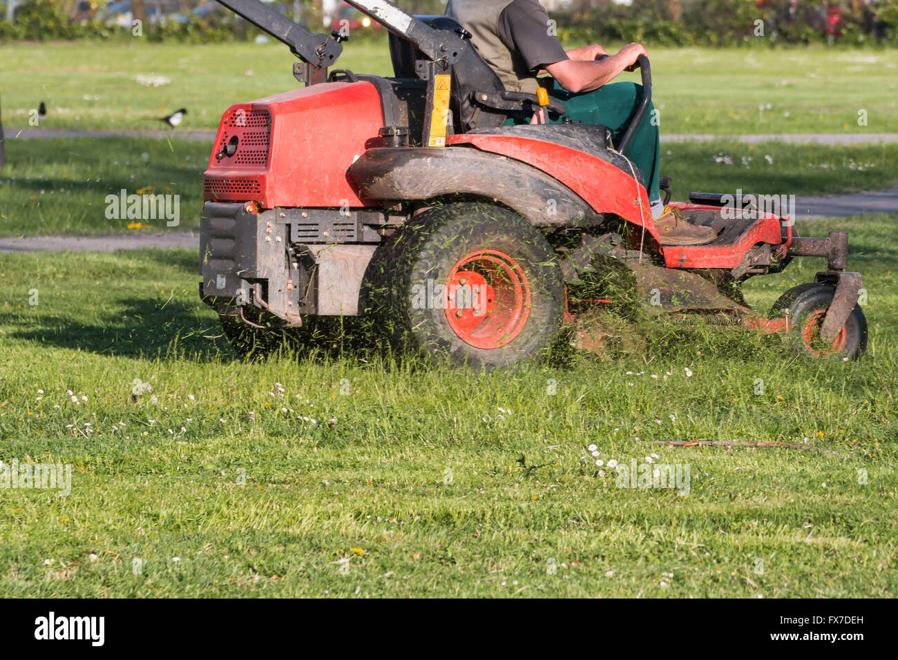 Équipements à gazon avec opérateur pour entretien jardin périodiquement Banque D'Images