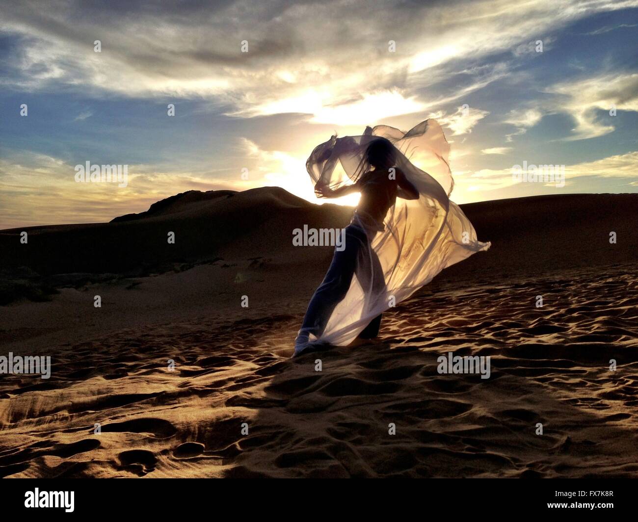Danseuse du désert Année : 2014 UK / eau / Maroc Réalisateur : Richard Raymond Freida Pinto Banque D'Images