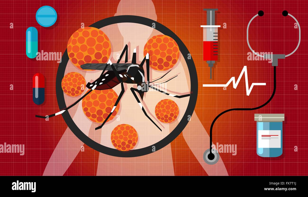 Zika virus zica masquito aotubreak pandémie la propagation de l'espèce Aedes aegypti Illustration de Vecteur