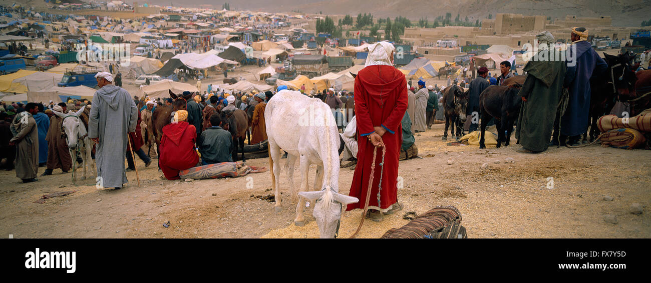 Maroc Imilchil bovins marché berbère Banque D'Images