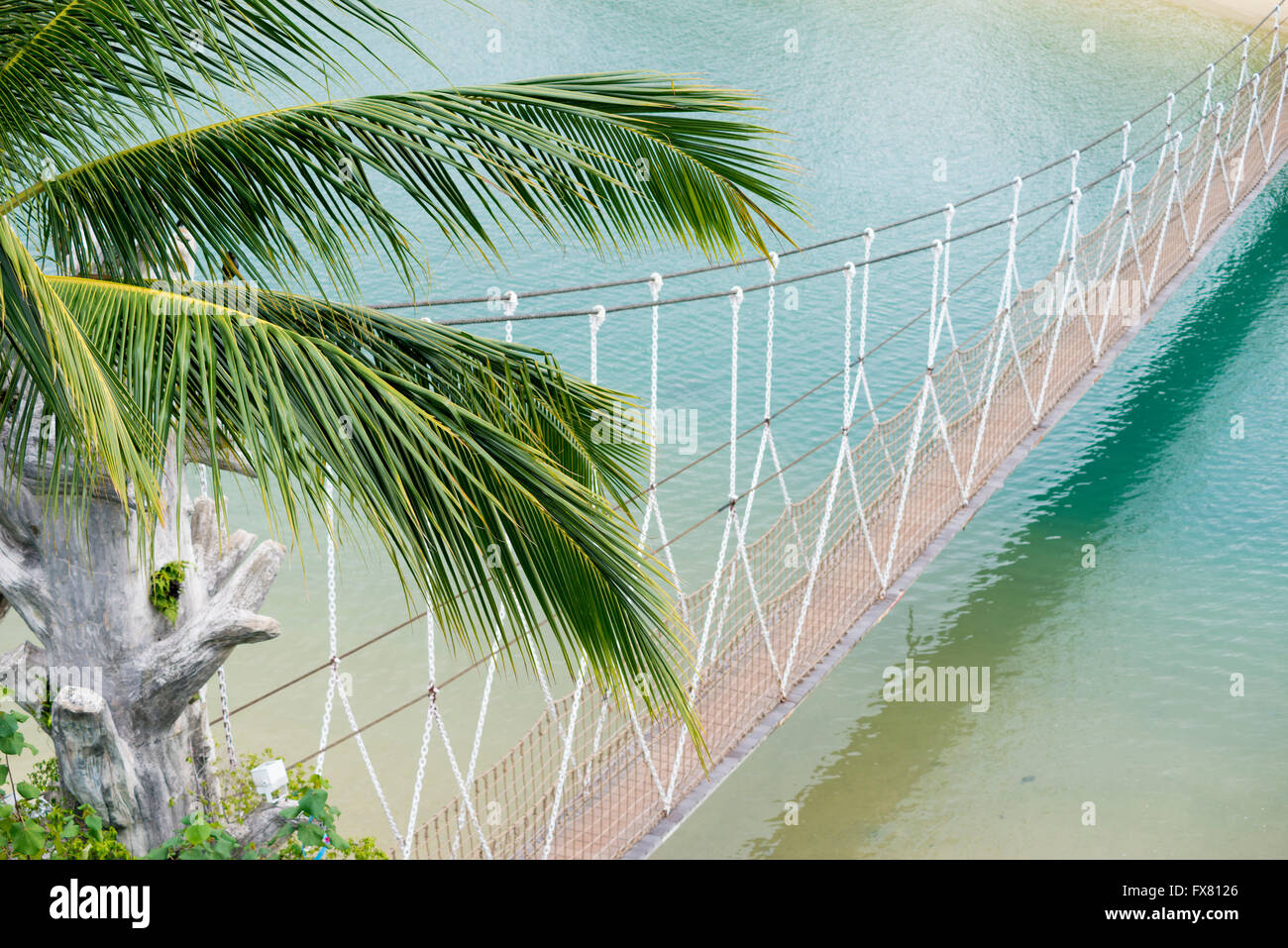 Tropic corde pont sur l'eau de mer avec l'accent sur des feuilles de palmier Banque D'Images