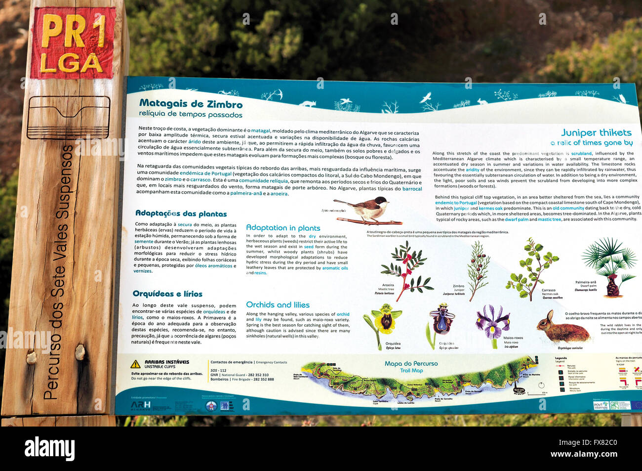 Le Portugal, l'Algarve : signal d'information sur la flore et la faune au sentier de randonnée 7 Suspenos Vales à Lagoa Banque D'Images