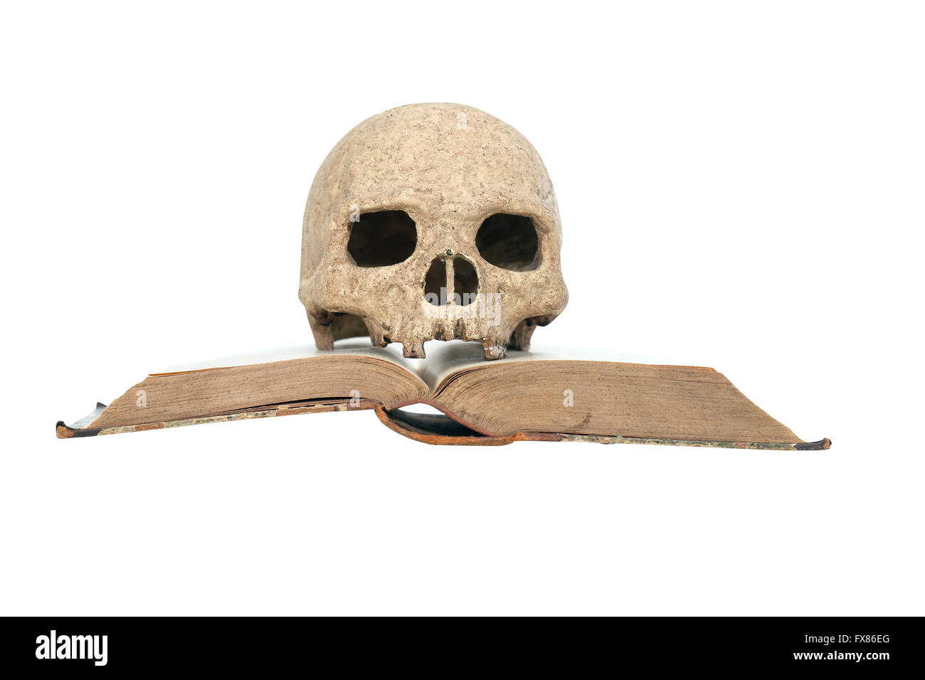 Un crâne humain sur le vieux livre ouvert sur fond blanc Banque D'Images