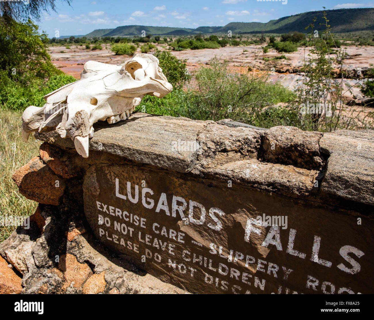 Un crâne d'hippopotame est assis sur le panneau pour Lugards Falls sur la rivière Galana circulant dans le parc national de Tsavo East au Kenya Banque D'Images