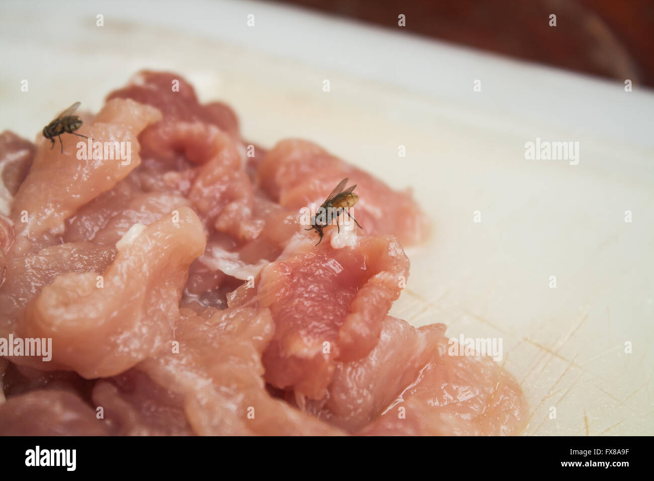 Porc contaminés sur le bloc de hachage en plastique avec mouche Banque D'Images