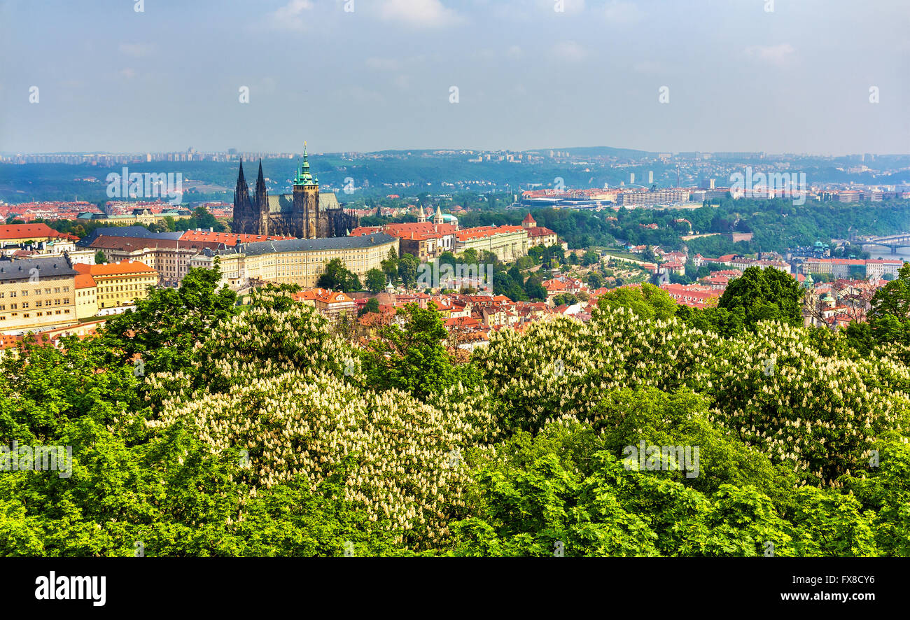 Vue sur le château de Prague - République Tchèque Banque D'Images