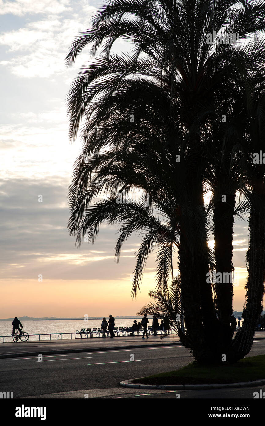Nice Promenade des Anglais, montrant le coucher du soleil du soir avec silhouette de palmiers, France Banque D'Images