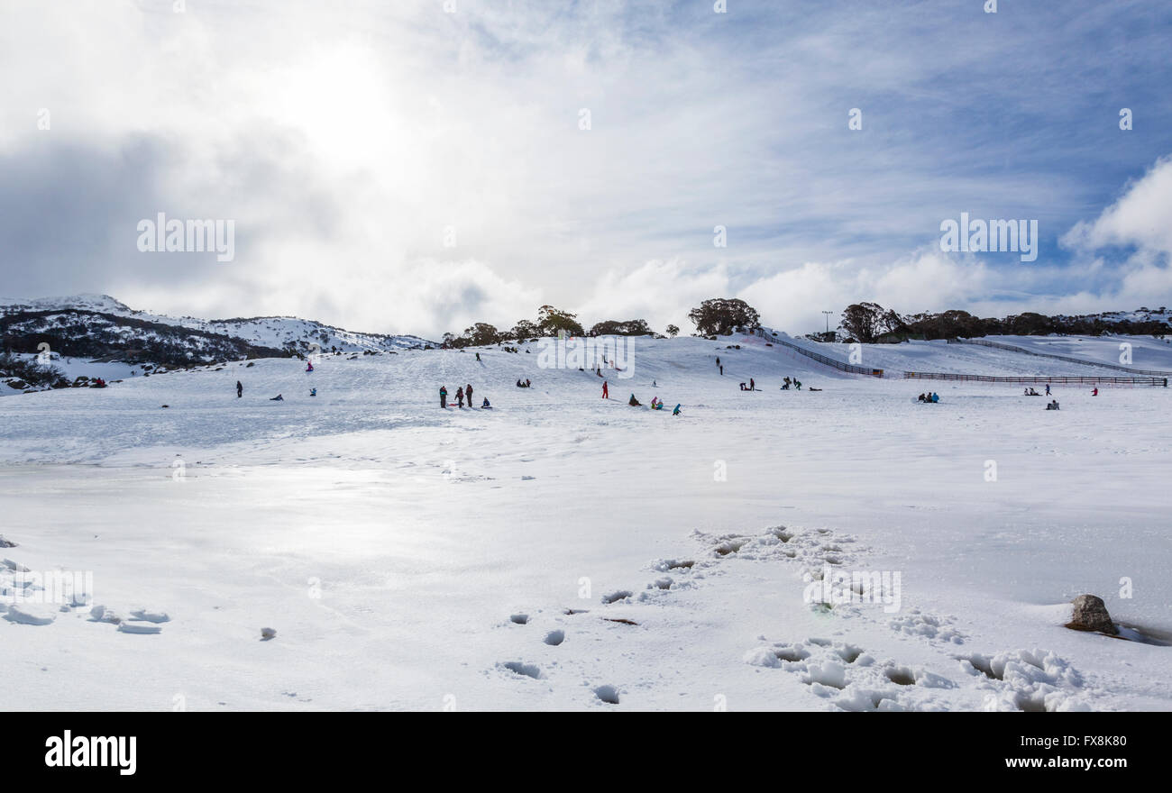 L'Australie, Nouvelle Galles du sud, montagnes enneigées, Kosciusko National Park, dans la neige au nord du champ de neige Perisher Banque D'Images