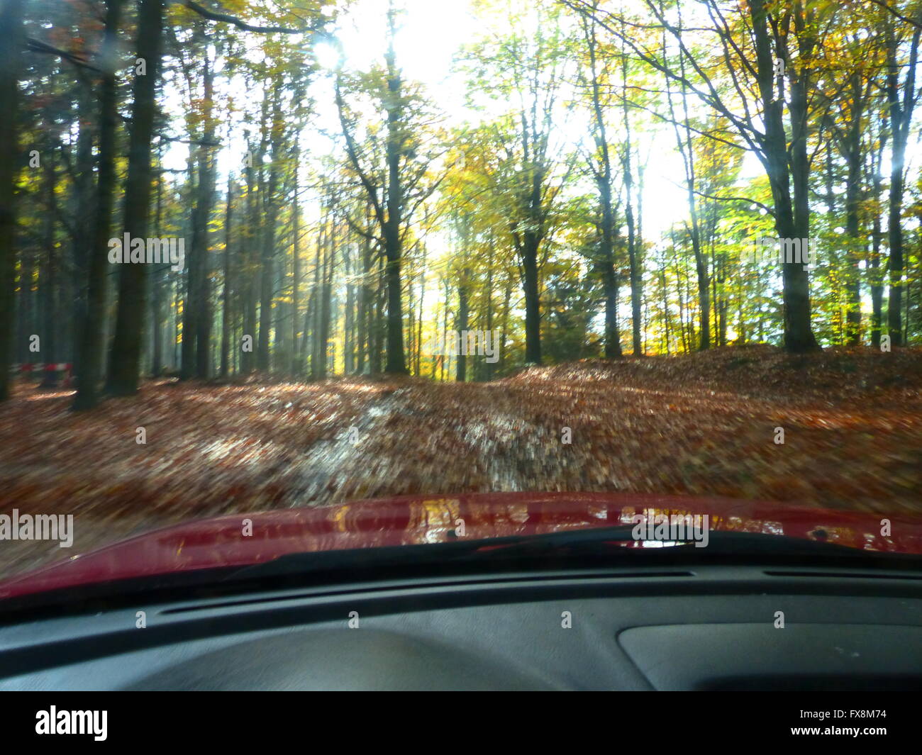 La conduite sur route forestière en haute vitesse Banque D'Images