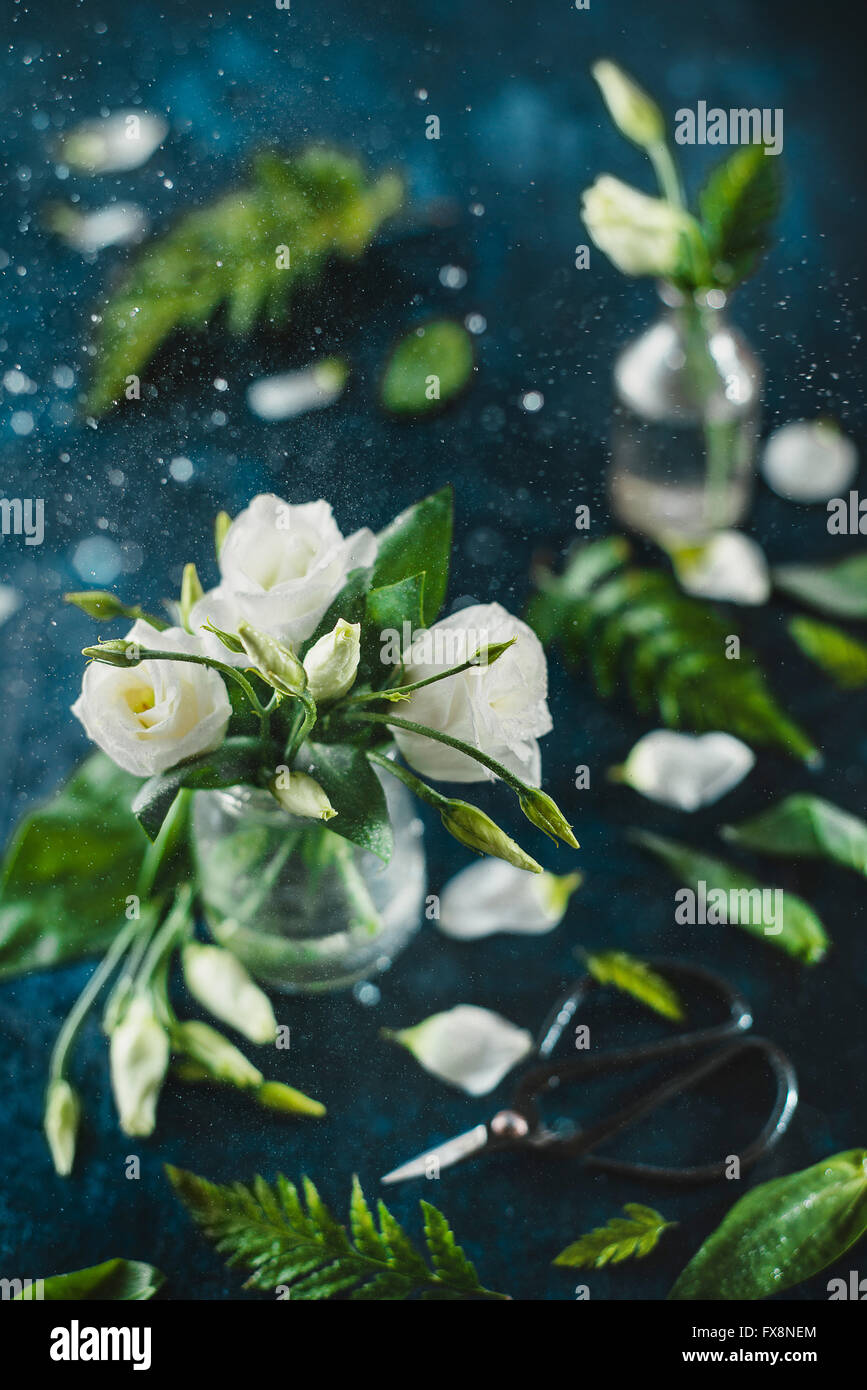 Fleurs blanches avec des étincelles de rosée Banque D'Images