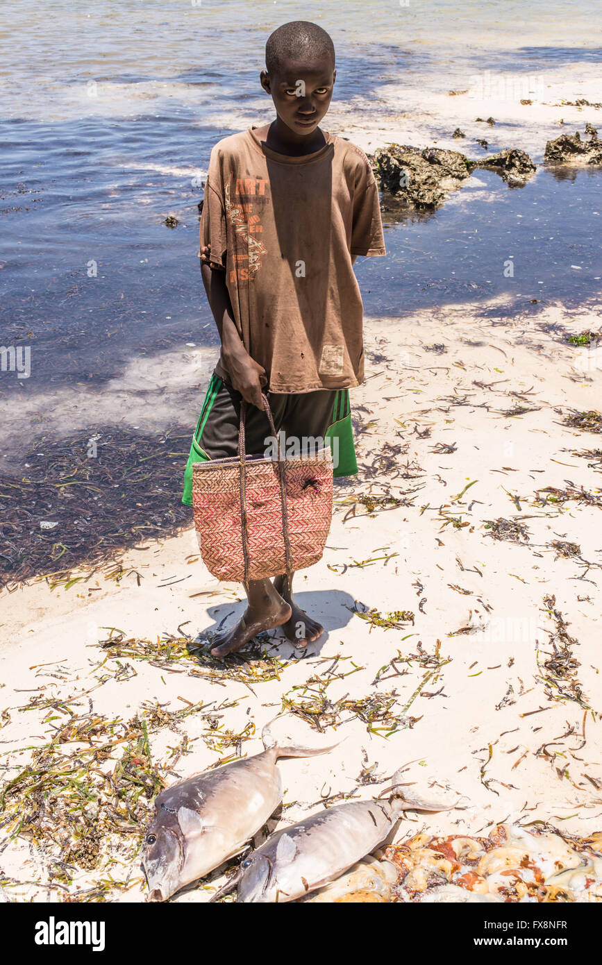 Pemba, Zanzibar, Tanzanie - 10 octobre 2015 : young African boy avec un sac coloré debout devant des poissons fraîchement pêchés sur Banque D'Images
