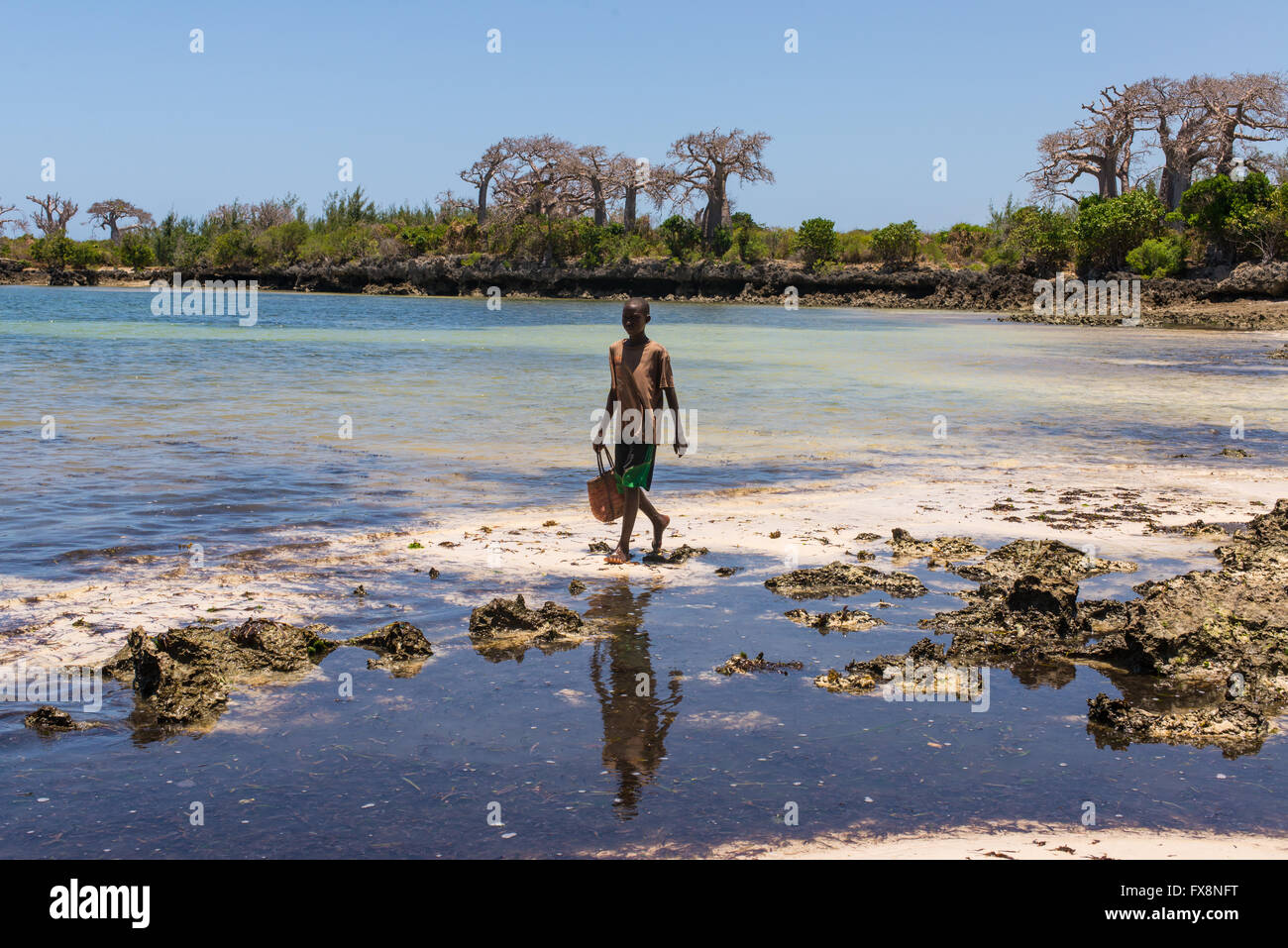 Jeune garçon africain avec un sac coloré marcher dans une plage tropicale avec pristine baobab dans l'arrière-plan Banque D'Images