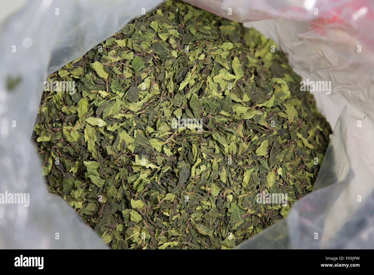 Hambourg, Allemagne. 13 avr, 2016. Un sac avec des feuilles séchées de la drogue la mastication du khat peut être vu au cours de la conférence de presse annuelle du bureau de douane à Hambourg, Allemagne, 13 avril 2016. Photo : CHRISTIAN CHARISIUS/dpa/Alamy Live News Banque D'Images