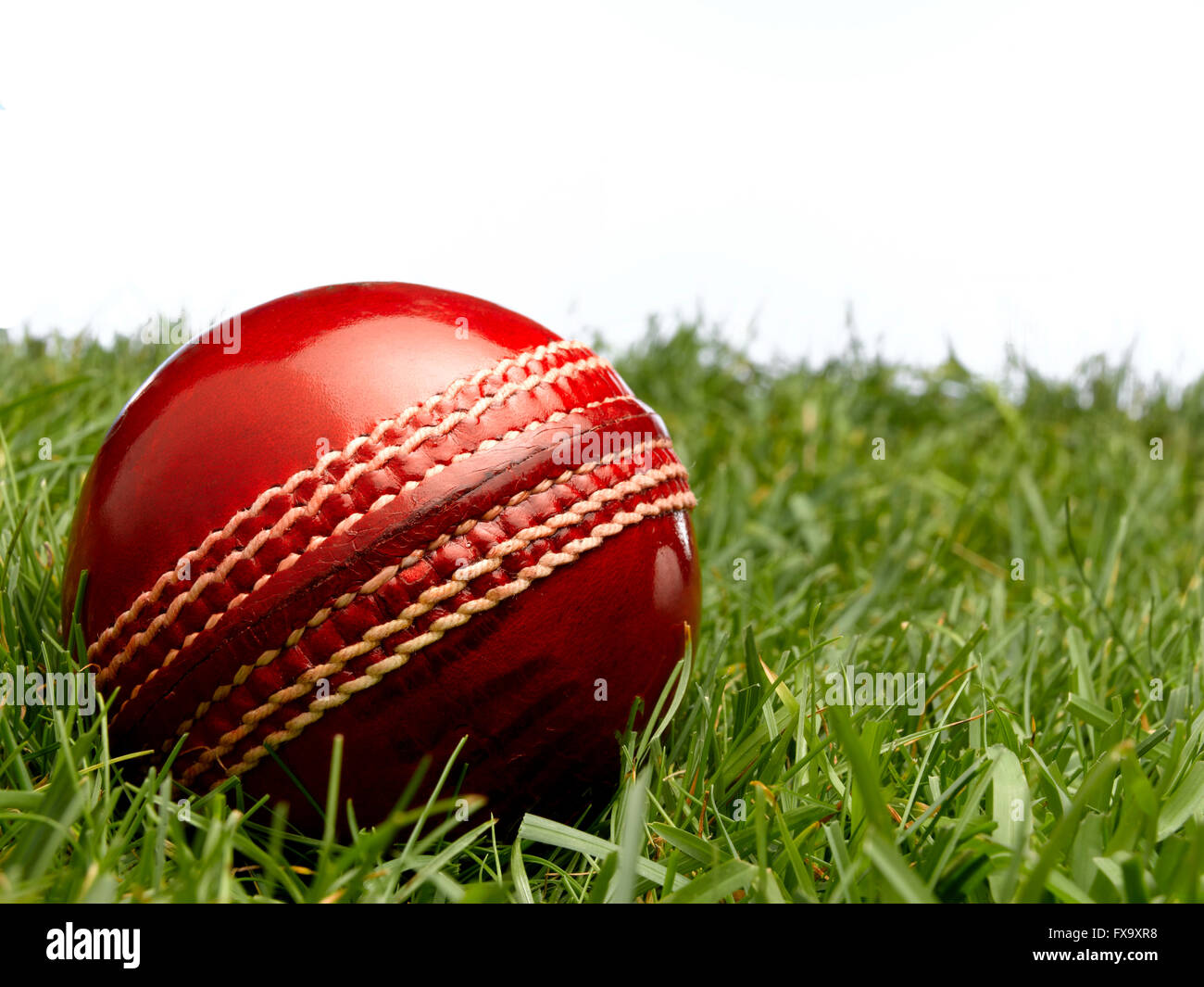 Cricket Ball en cuir rouge Banque D'Images